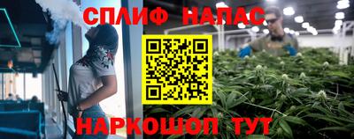 сатива Дубна