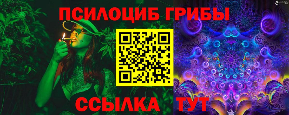 Галлюциногенные грибы прущие грибы Новоалександровск