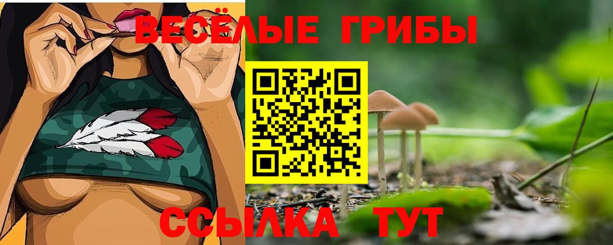 Новоалександровск  Псилоцибиновые грибы Cubensis  Вход с VPN  Псилоцибиновые грибы GOLDEN TEACHER 